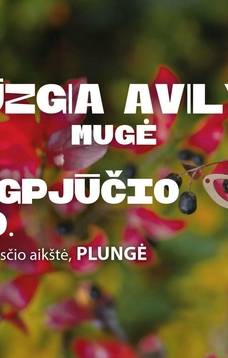 Mugė DŪZGIA AVILYS Plungėje