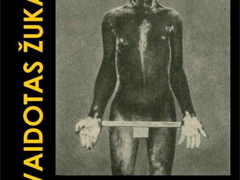 „Neprisitaikėlio menas. Vaidotas Žukas: kūrėjas ir kolekcininkas“